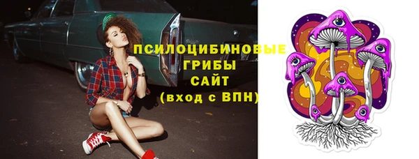сатива Абаза