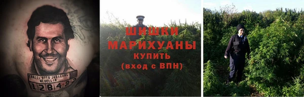 сатива Абаза