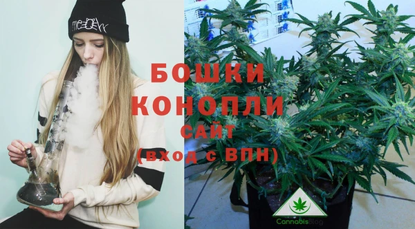 сатива Абаза