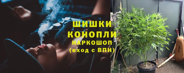 сатива Абаза