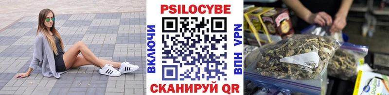 Псилоцибиновые грибы Magic Shrooms мориарти наркотические препараты Александровск