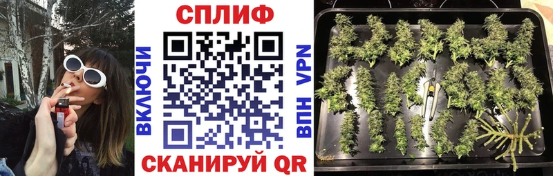 купить наркотики цена  Александровск  Бошки Шишки планчик 